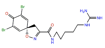Clavatadine D